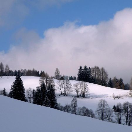 فيلا Obdachفي Urlaub Im Zirbenland المظهر الخارجي الصورة